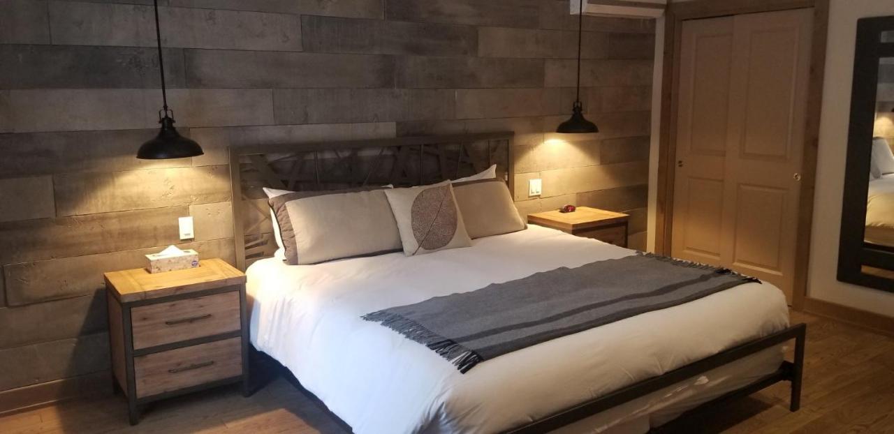 Hotel-Spa style scandinave Le Suisse Saint-Donat-de-Montcalm Esterno foto